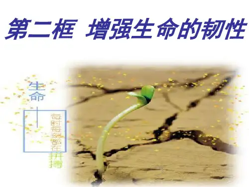 七年级《道德与法治》上册 第九课 珍视生命,增强生命的韧性 PPT课件