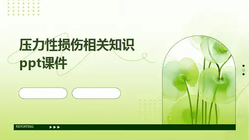 压力性损伤相关知识ppt课件