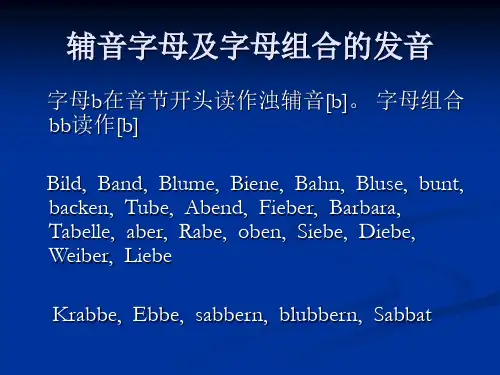 辅音字母及字母组合的发音