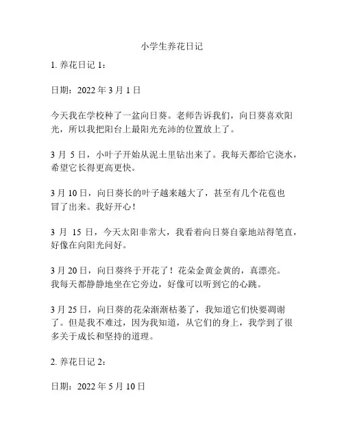 小学生养花日记