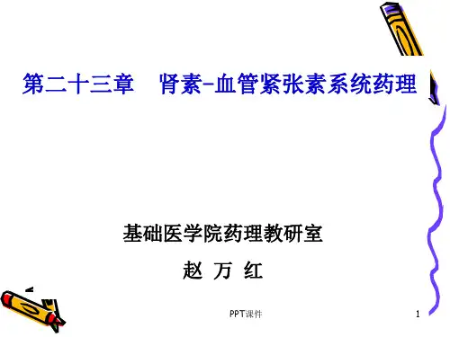 肾素-血管紧张素系统药理  ppt课件