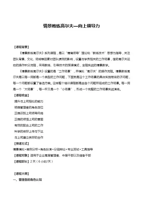 王雷军--情景教练高尔夫—向上领导力