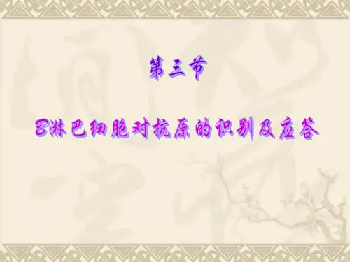 第三节B细胞介导的免疫应答