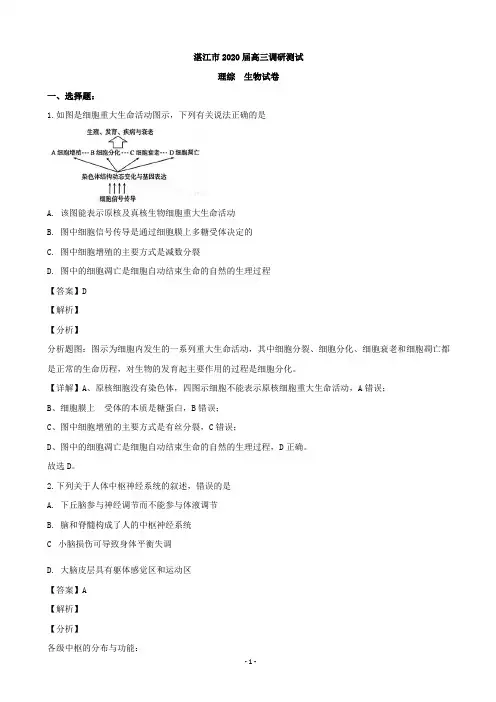 2020届广东省湛江市高三(9月)调研理综生物试题(解析版)