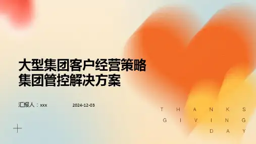 大型集团客户经营策略集团管控解决方案