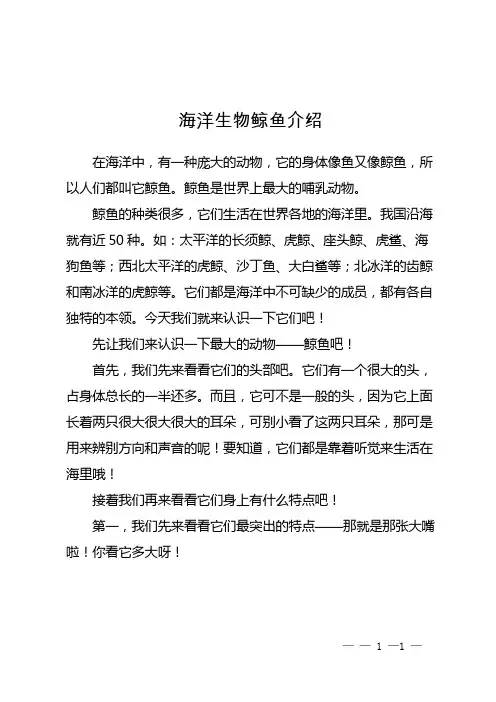 海洋生物鲸鱼介绍