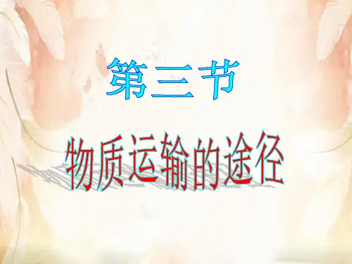 物质运输的途径PPT课件6(4份) 济南版