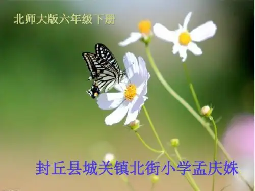 六年级下册语文课件4.1《蝶恋花·答李淑一》北师大版(共19张ppt)