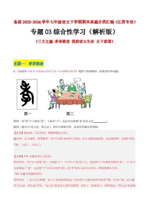 2023-2024学年七年级语文真题分类汇编(江苏专用)综合性学习(三大主题)(解析版)