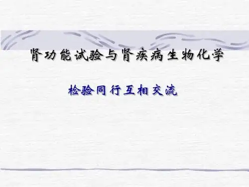 肾病及其生化检测