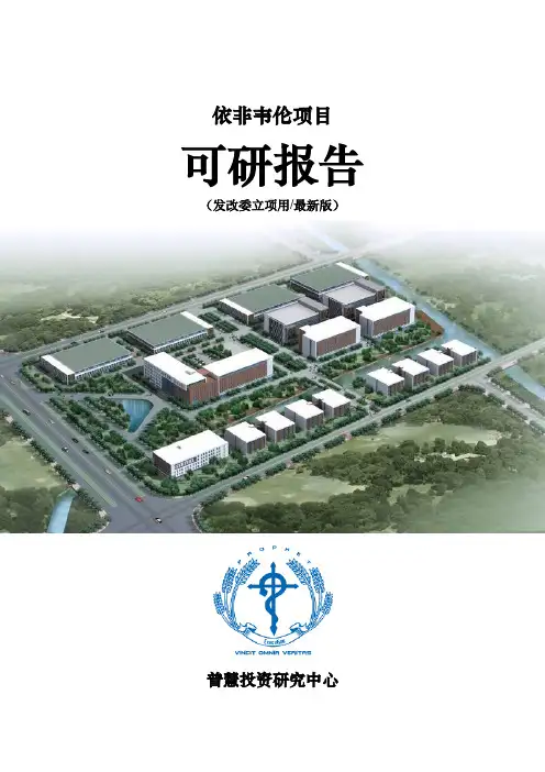 依非韦伦项目可研报告发改委立项用(最新版)