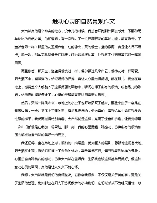 触动心灵的自然景观作文