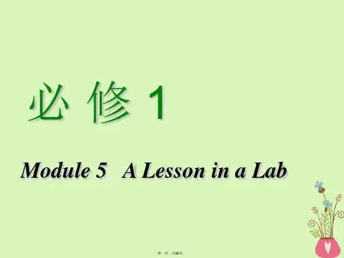 高考英语一轮复习Module5ALessoninaLab课件外研版必修1