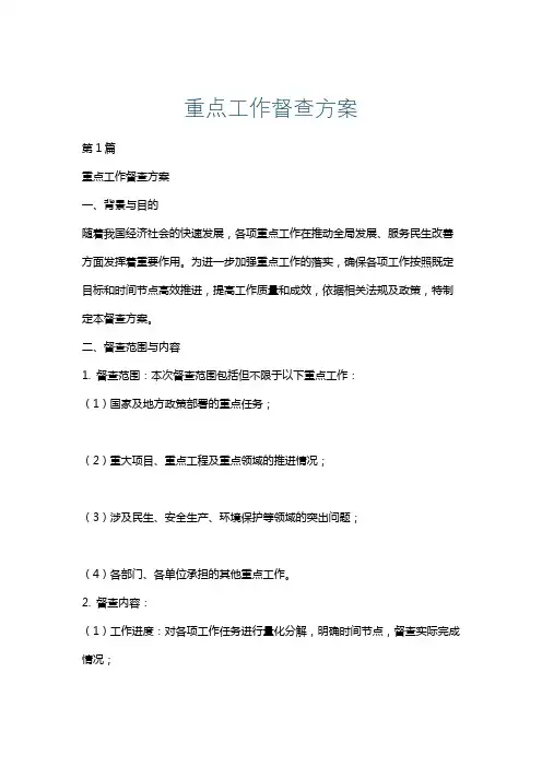 重点工作督查方案
