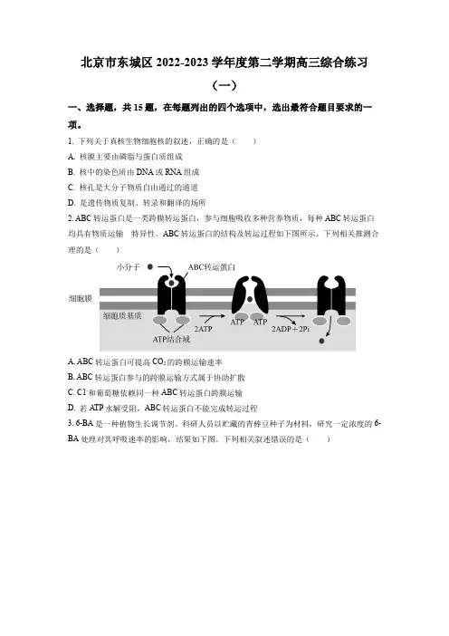 北京市东城区2022-2023学年高三下学期综合练习(一)生物试题(原卷版)