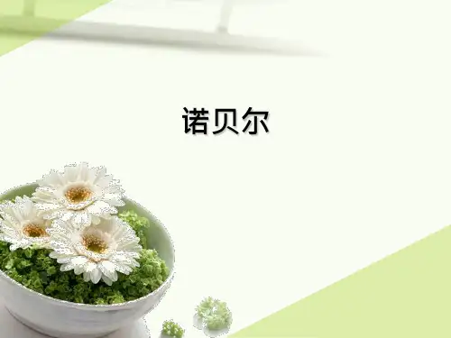 (苏教版)五年级语文上册《第21课 诺贝尔》课件 (5)