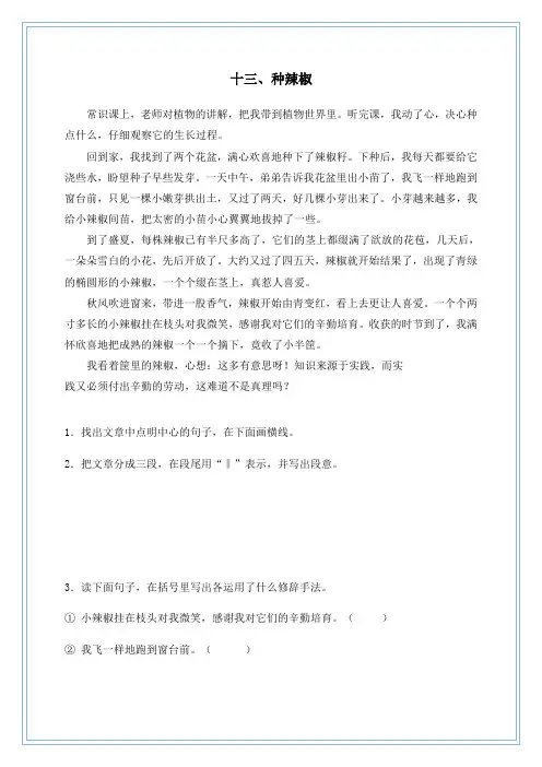 小学语文阅读天天练二(含答案)
