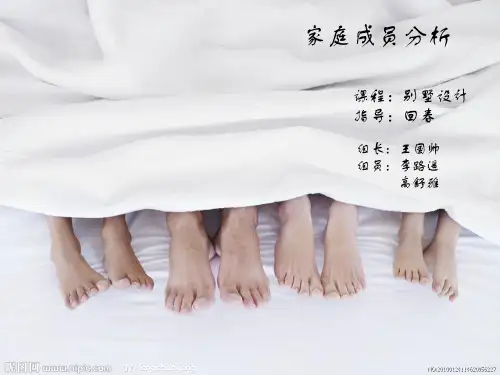 家庭成员分析报告20页PPT