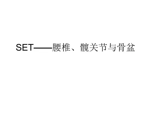 悬吊疗法——腰椎、髋关节与骨盆