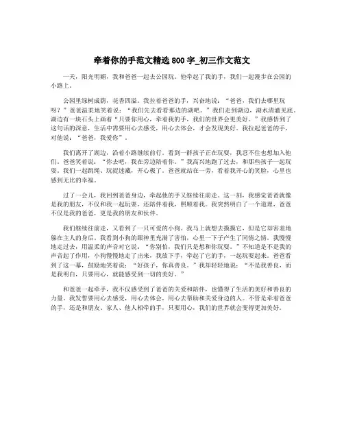 牵着你的手范文精选800字_初三作文范文