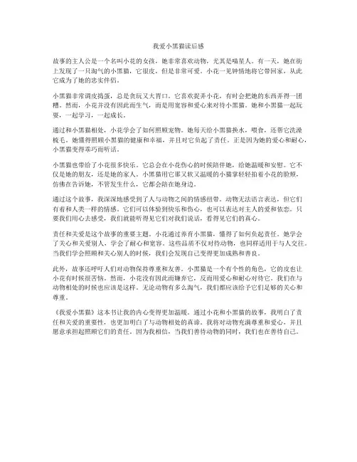 我爱小黑猫读后感