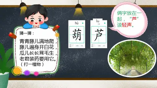 14 我要的是葫芦 课件(共32张PPT).ppt