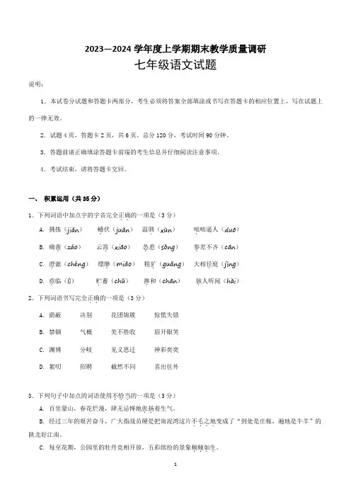 山东省临沂市蒙阴县2023-2024学年七年级上学期期末调研语文试题(含答案)