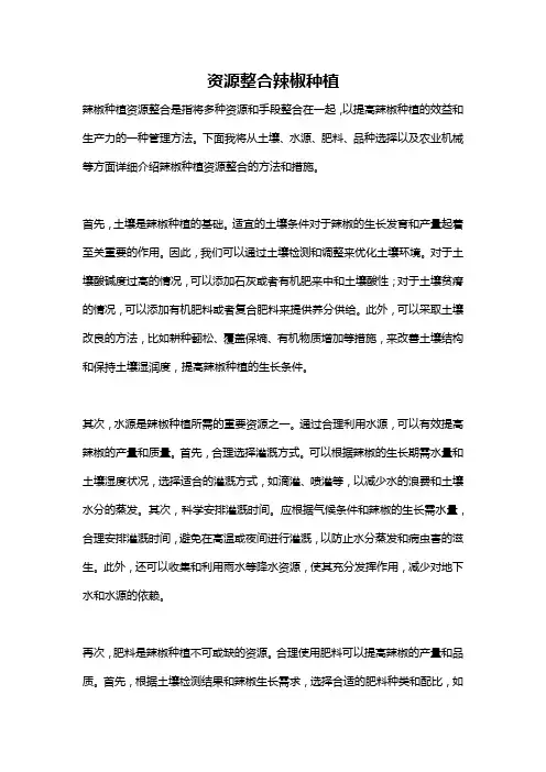 资源整合辣椒种植