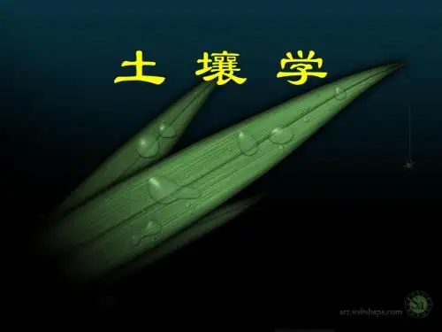 中国农业大学_815土壤与植物营养学_讲义 第一章到第六章