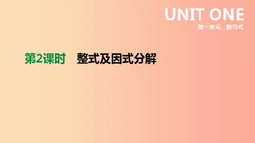 2019年中考数学专题复习 第一单元 数与式 第02课时 整式及因式分解课件PPT