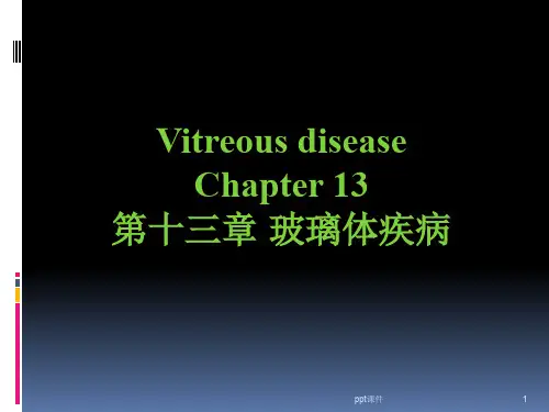 玻璃体病(中英文版)  ppt课件