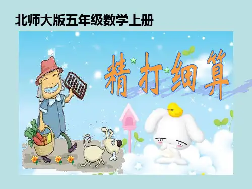 北师大版五年级上册数学精打细算