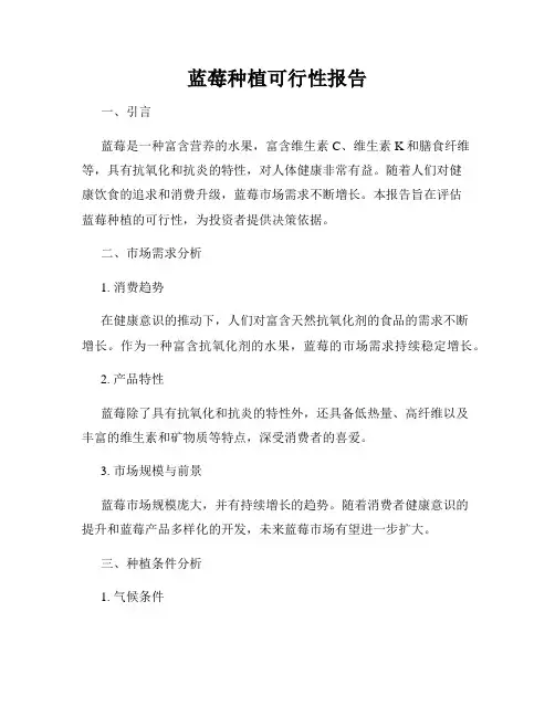 蓝莓种植可行性报告