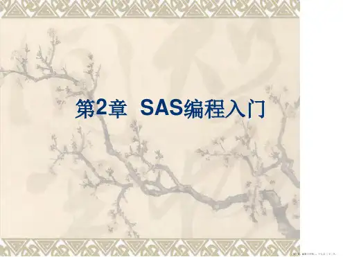 第2章--SAS编程入门