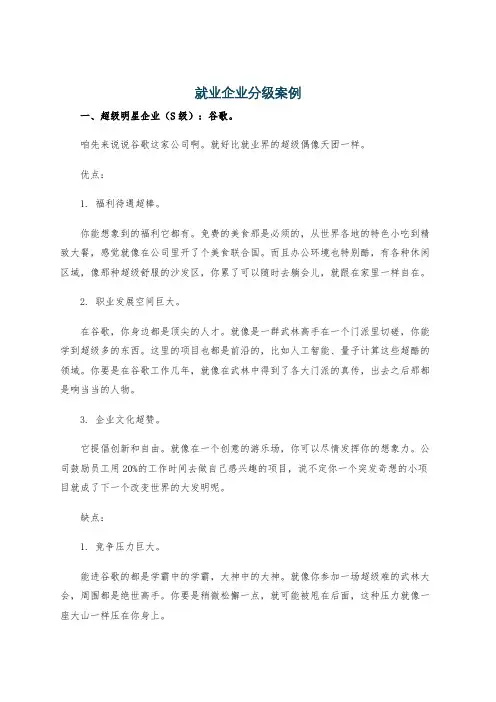 就业企业分级案例
