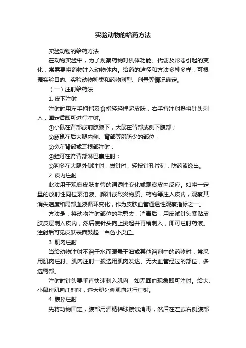 实验动物的给药方法