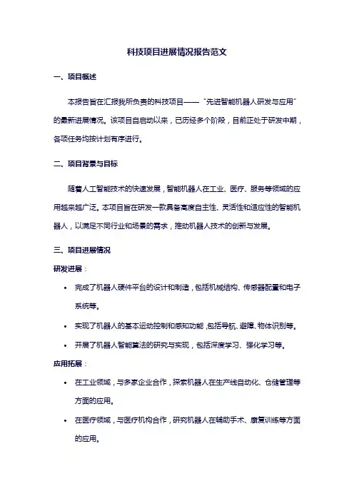 科技项目进展情况报告