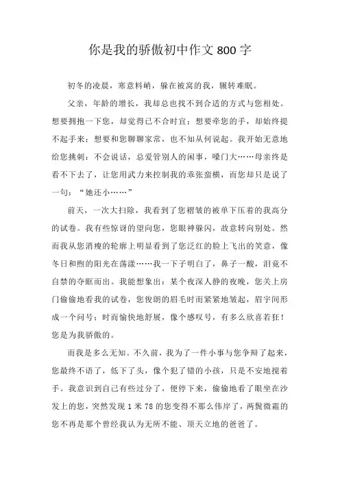 你是我的骄傲初中作文800字