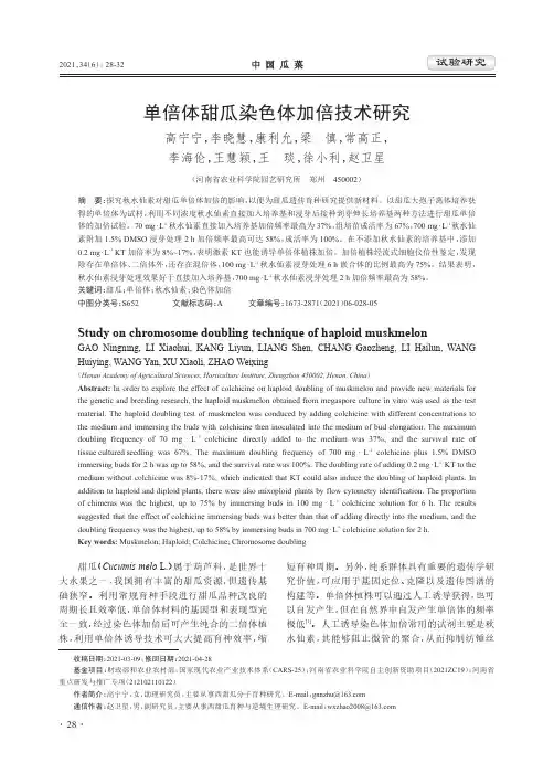 单倍体甜瓜染色体加倍技术研究