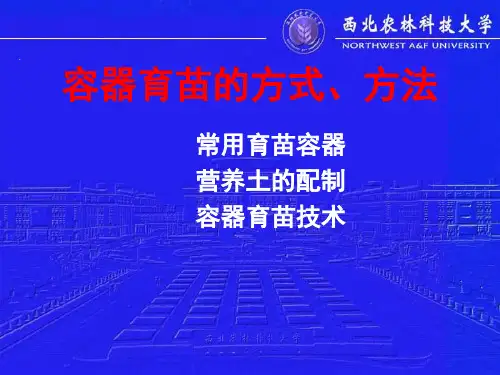 容器育苗的方式方法