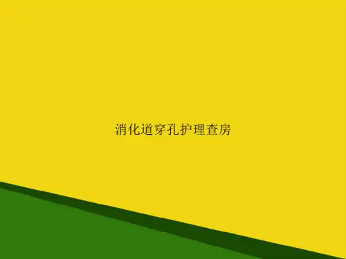 消化道穿孔护理查房-推荐优秀PPT