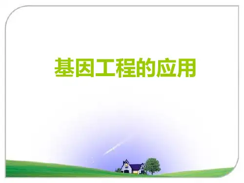 人教版高中生物选修三：1.3基因工程的应用 (共53张PPT)优秀课件资料