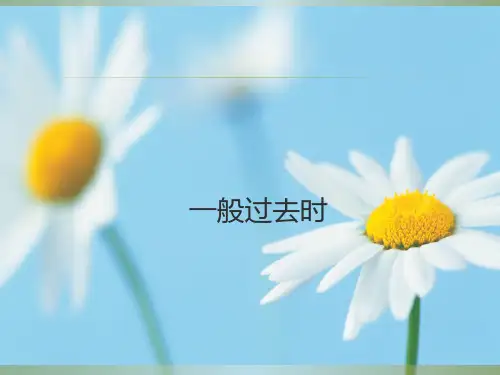 小学英语一般过去时