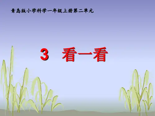 一年级上册科学课件 第3课《看一看》 (2) ｜全国通用(共7张PPT)