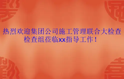 集团公司检查汇报材料