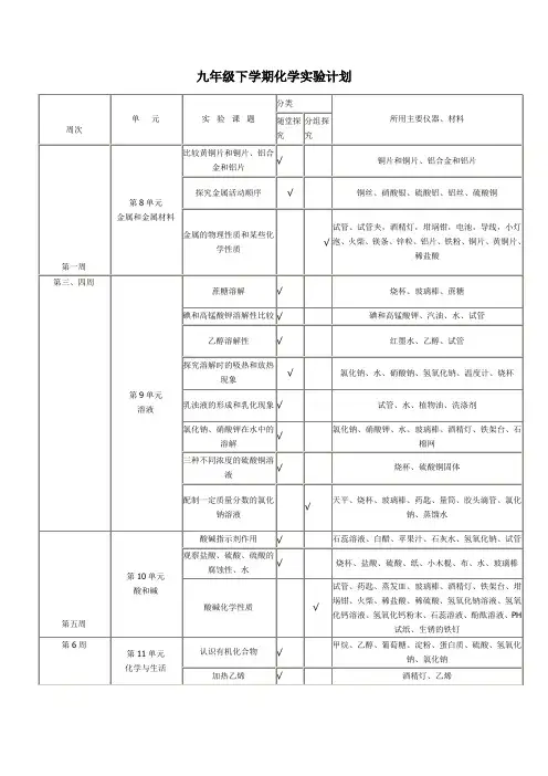 九年级化学下册实验计划