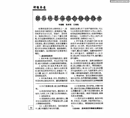 甜瓜枯萎病综合防治技术