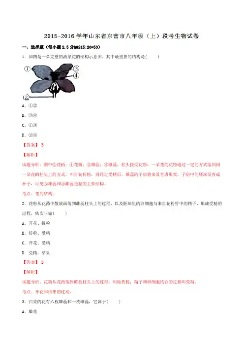 山东省东营市2015-2016学年八年级上学期段考生物试题解析(解析版)