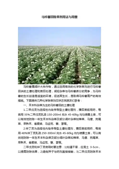 马铃薯田除草剂用法与用量