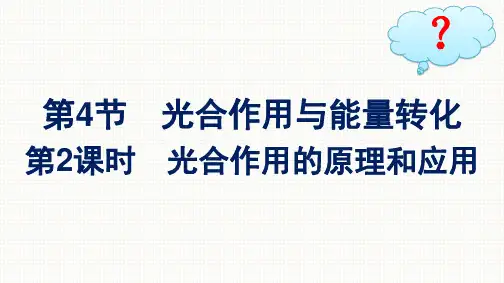 人教版高中生物学必修1精品课件 第5章 细胞的能量供应和利用 第4节 第2课时 光合作用的原理和应用
